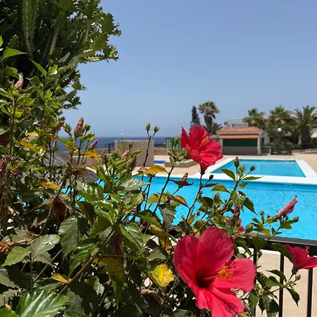 Sun Tenerife